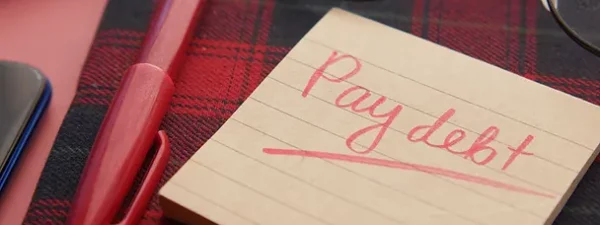 debt_ratio debt rati0