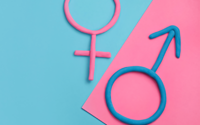 Vrouwelijk leiderschap blog cover Vrouwelijk leiderschap