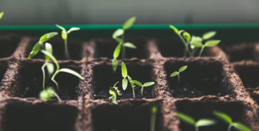 hoepassiefispassiefbeleggen Hoe passief is passief beleggen