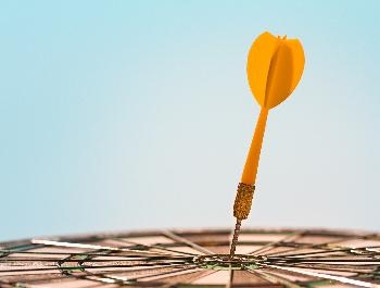 Designer (6) Cursus beleggen