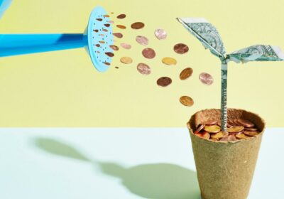 Designer (60) Designer (60)